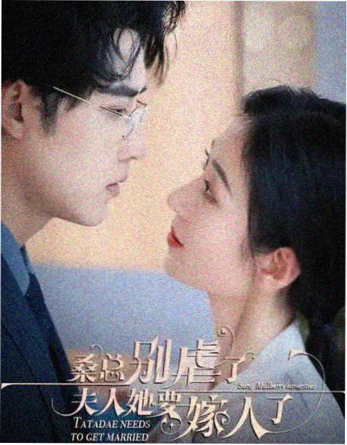 赘婿逆袭短剧赘婿的第七年封面